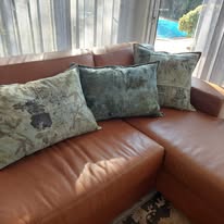 Set of Fickle Leaf Cushions